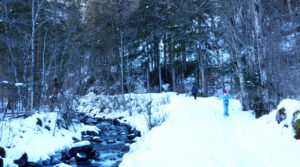 Chalet le GrillPremenade à ski de fond dans le bois de l'Alleau