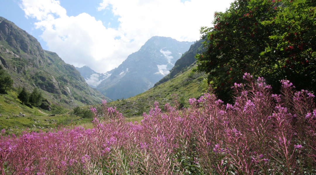 Chalet le GrillParapente